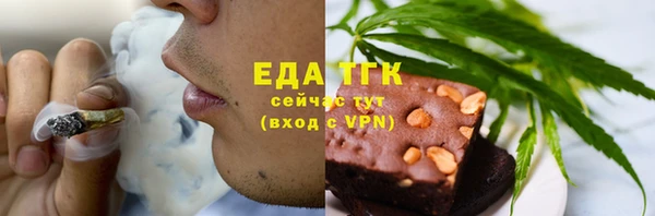 дживик Верхний Тагил