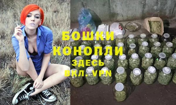 дживик Верхний Тагил