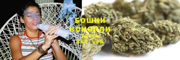 винт Бородино